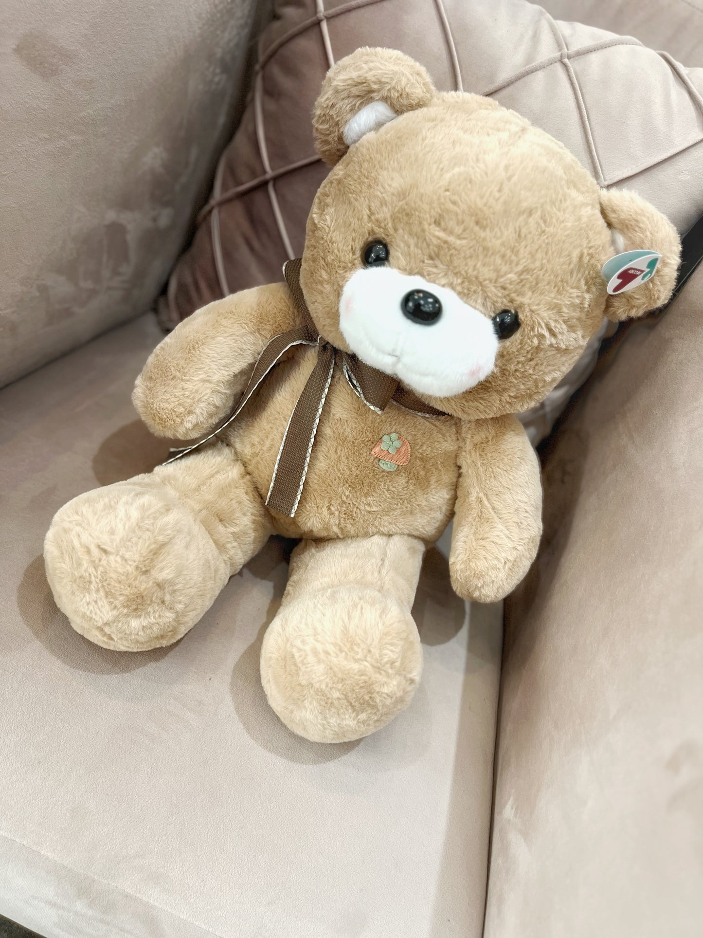 Combo Teddy