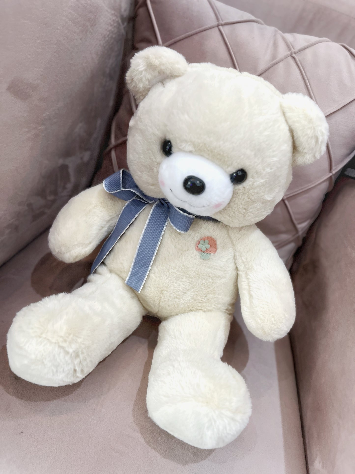 Combo Teddy