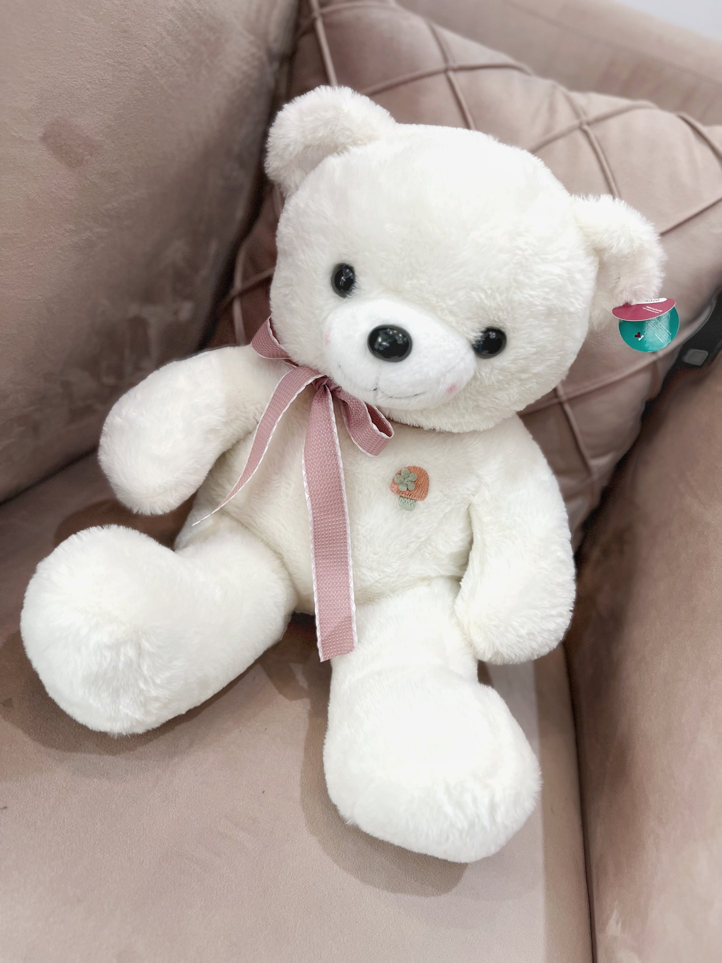Combo Teddy