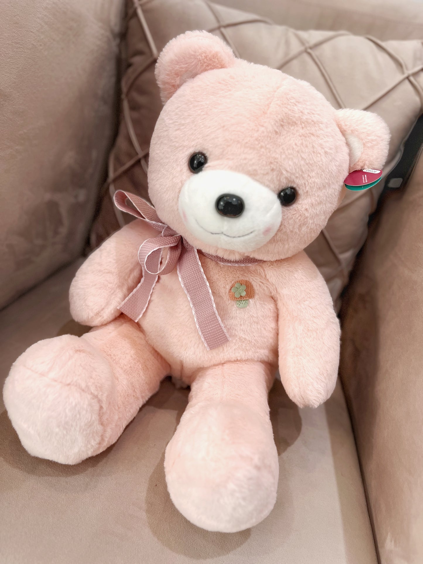 Combo Teddy