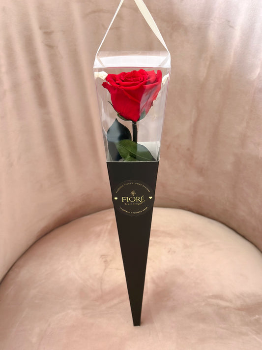 Rosa Eterna en Cono