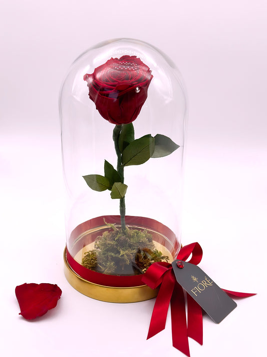 Rosa Eterna